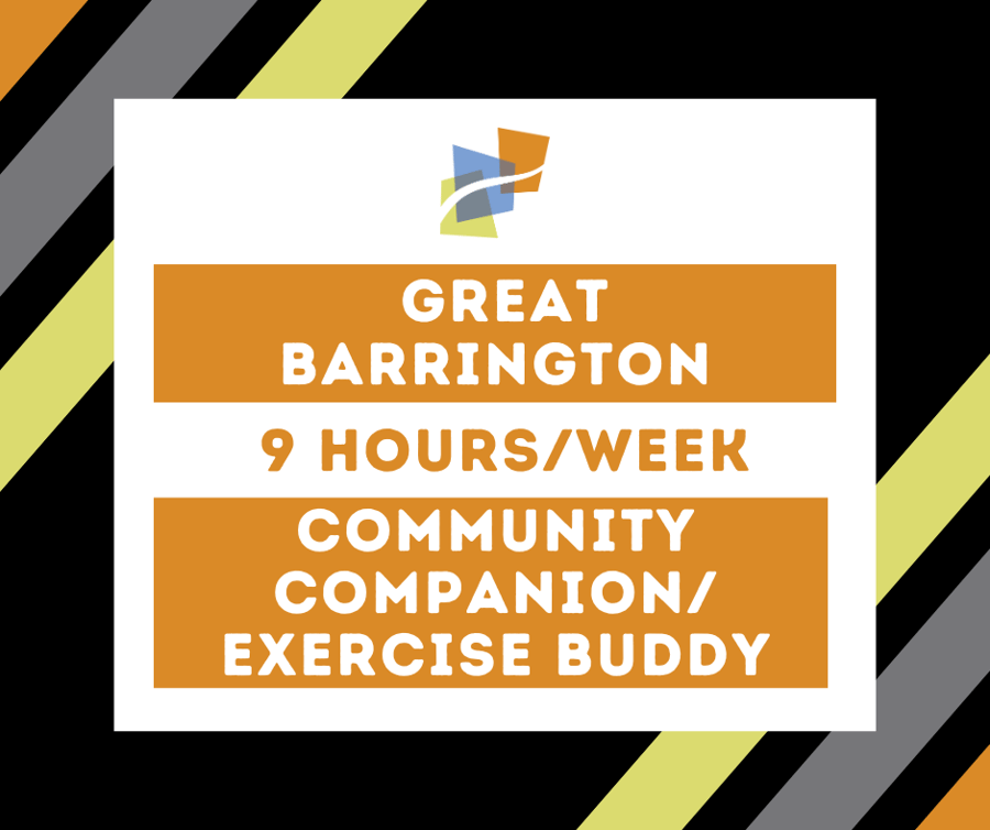 Great Barrington 9 hours per week community companion/ excercise buddy